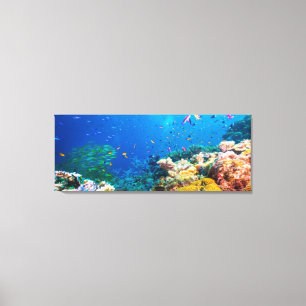 Coral Reef And Tropical Fish Canvas Print