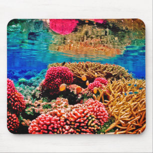 Coral reef colourful ocean life mouse pad