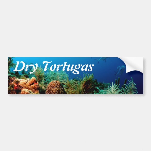 Coral Reef, Dry Tortugas National Park, Florida Bumper Sticker (Front)