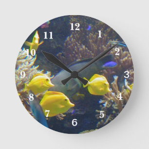 Coral Reef Fish Round Clock