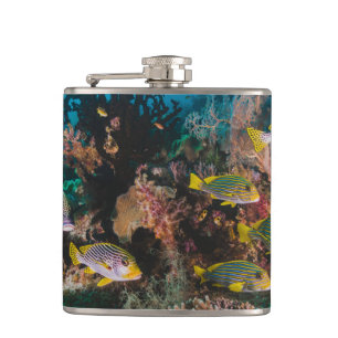 Coral Reef flask