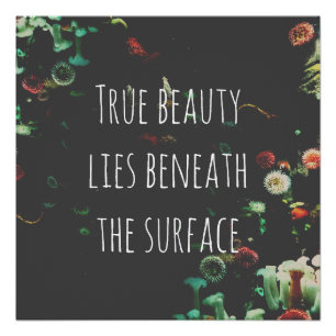 Coral Reef Inspirational Quote Poster