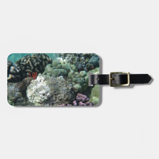 Coral reef luggage tag (Front Horizontal)