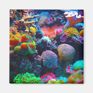 Coral reef magnet