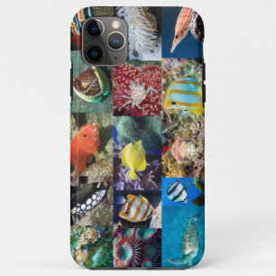 Coral Reef Marine Fish Animals Photos, Educational iPhone 11 Pro Max Case