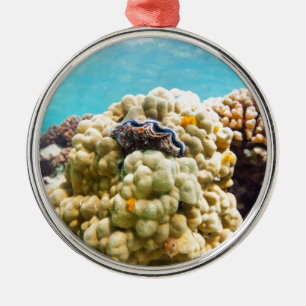 Coral reef metal ornament