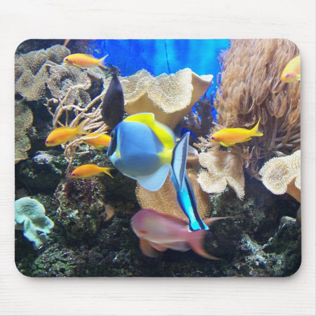 Coral Reef Mousepad (Front)