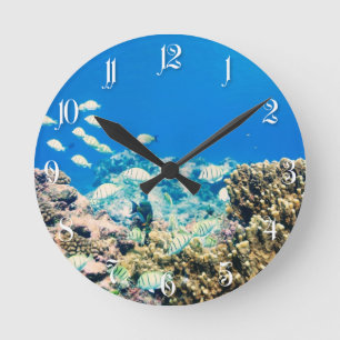 Coral reef round clock
