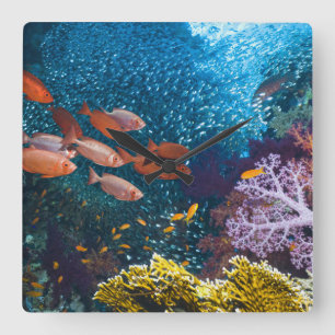 Coral Reef Scenery Bigeye Or Goggle-Eye Square Wall Clock