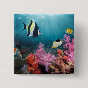 Coral Reef Scenery Moorish Idol 2 Inch Square Button
