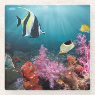 Coral Reef Scenery Moorish Idol Glass Coaster