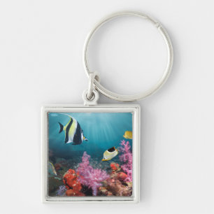 Coral Reef Scenery   Moorish Idol Keychain