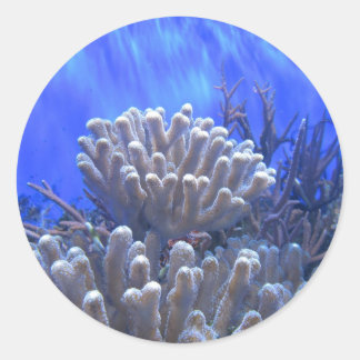 Coral Reef Sticker