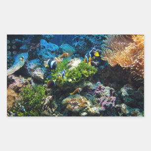Coral Reef stickers
