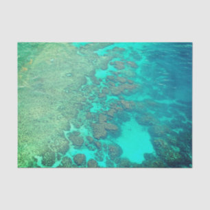 Coral reef tissue paper