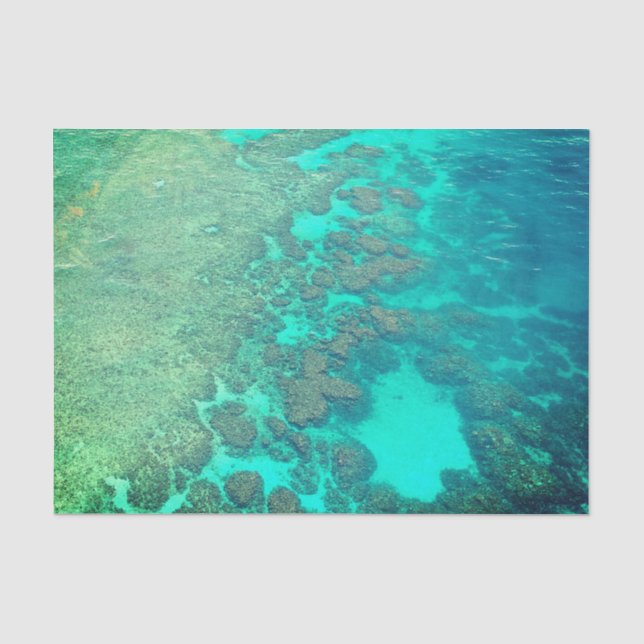 Coral reef tissue paper (Front)