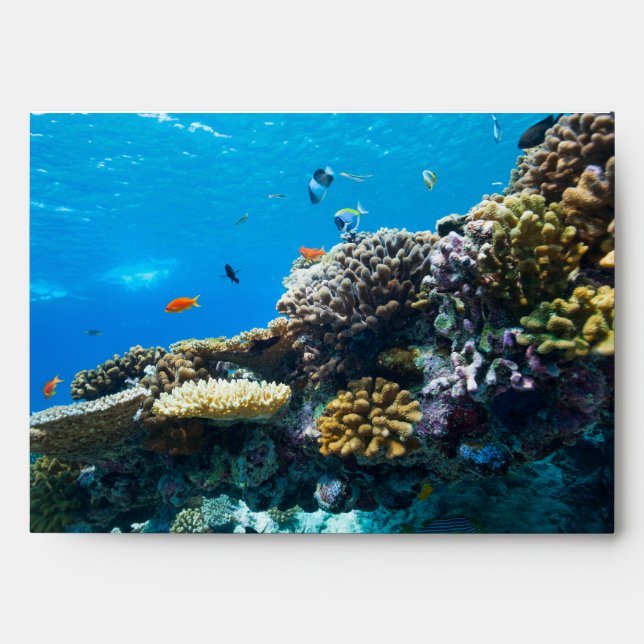 Coral reef underwater envelope (Front)