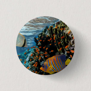 Coral Reef with Fire Coral and Exotic Fishes 1 Inch Round Button