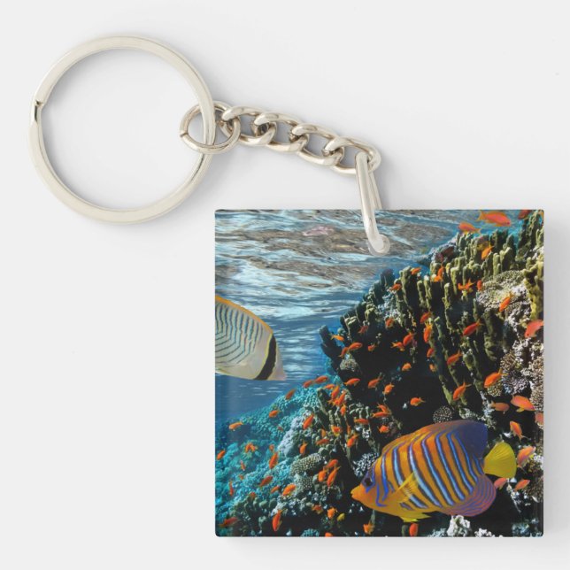 Coral Reef with Fire Coral and Exotic Fishes       Keychain (Front)