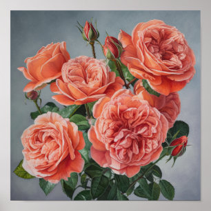 Coral Rose Flower Art Imprimer Poster