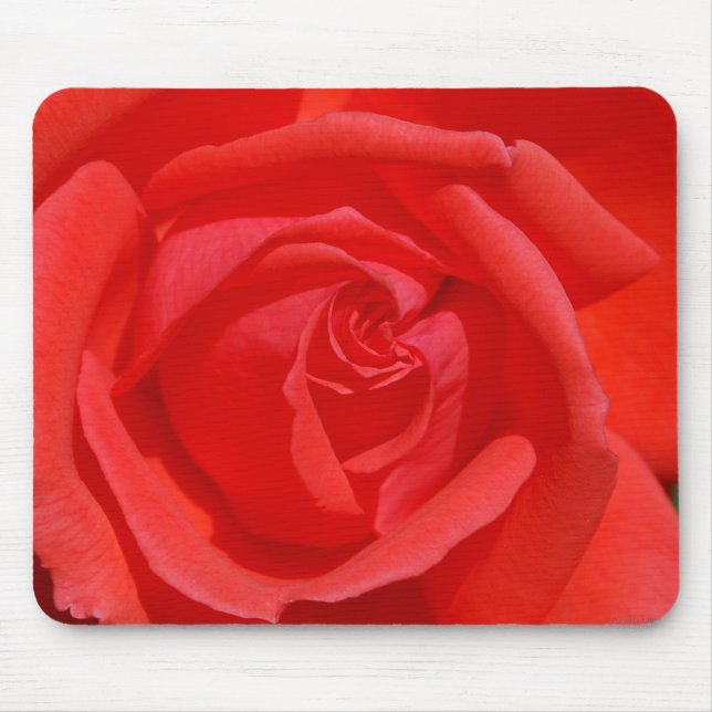 Coral Rose Mouse Pad (Front)