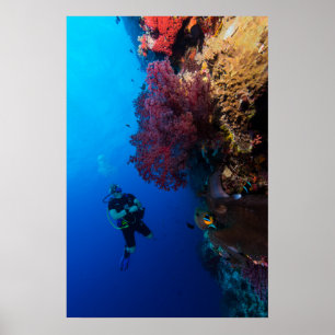 Coral Sea - Diver and Soft Coral - Poster