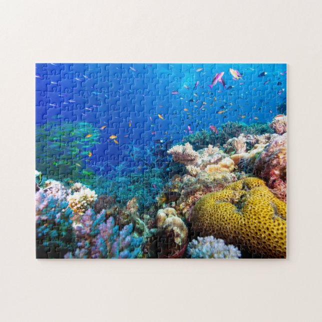 Coral Sea - Tropical Fish & Reef - Puzzle (Horizontal)