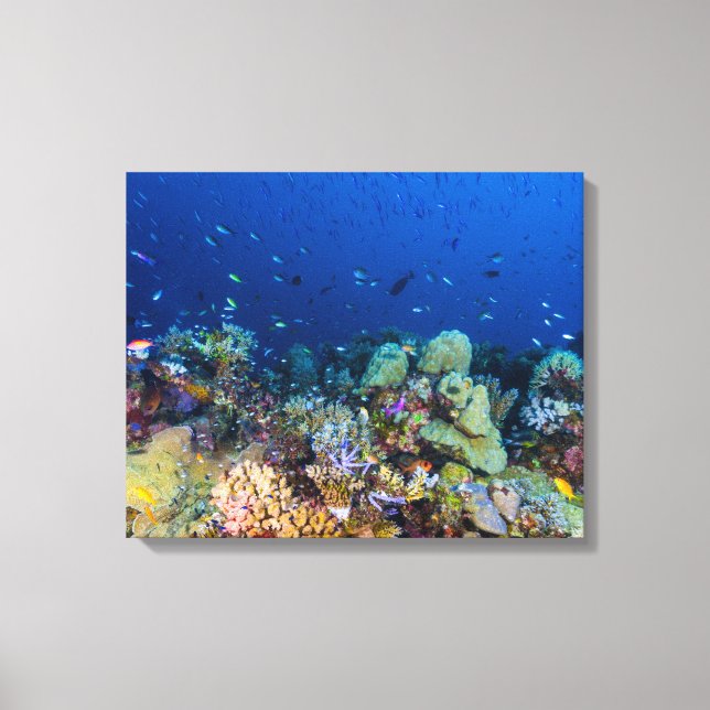 Coral Sea - Tropical Fish & Reef - Wrapped Canvas (Front)