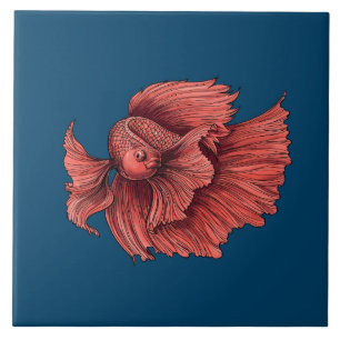 Coral Siamese fighting fish Tile
