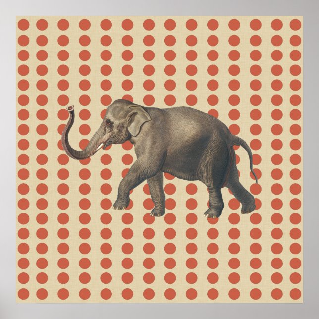 Coral Spice Moods Dots with Elephant Poster (Front)