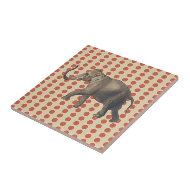 Coral Spice Moods Dots with Elephant Tile (Side)