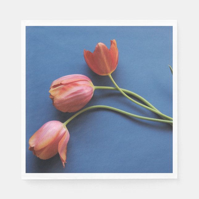 Coral tulips on blue napkin (Front)