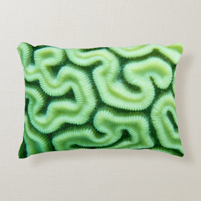 Coral vert Coussin extérieur (Devant)