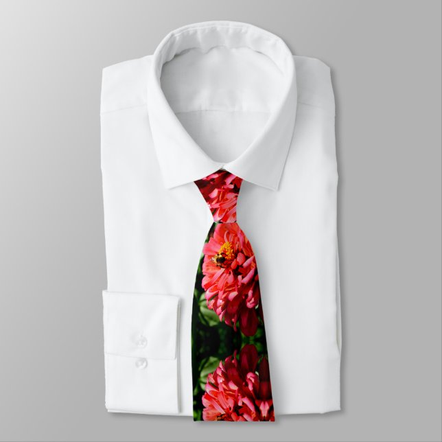 Coral zinnia with bumblebee tie (Tied)