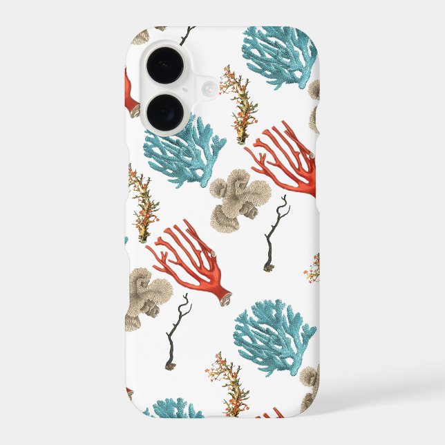 corals (Back)