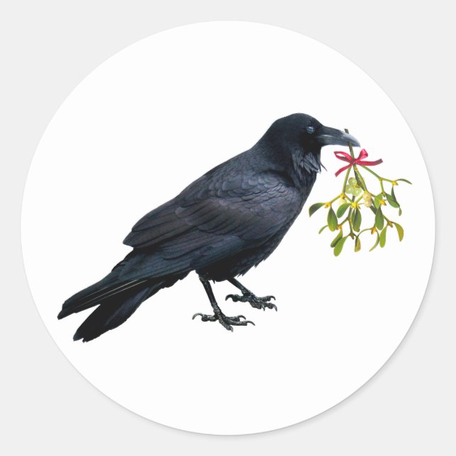 Corbeau avec Stickers Mistletoe (Devant)