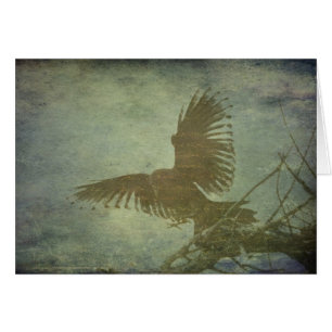 Corbeau de la poésie