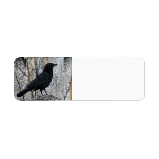 Corbeau en attente (Devant)