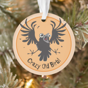 Corbeau vieux fou