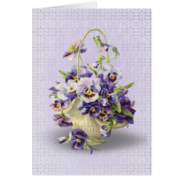 corbeille de pansement pourpre (Devant)