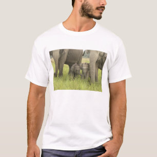 Corbett National Park, Uttaranchal, India. T-Shirt