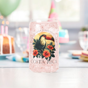 Corcovado Costa Rica Toucan