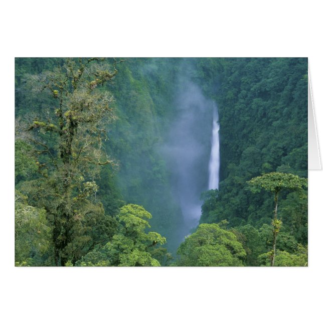 Cordillera Central, Angel Congo) Falls, many (Front Horizontal)