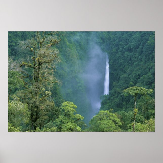 Cordillera Central, Angel Congo) Falls, many Poster (Front)