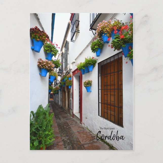 Cordoba Alleyway -Spain Postcard (Front)