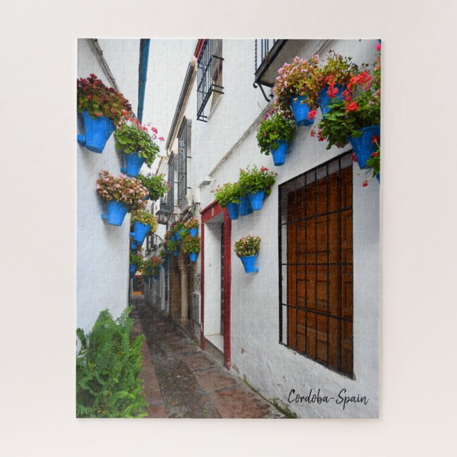 Cordoba Alleyway- The Real Spain Jigsaw Puzzle (Vertical)
