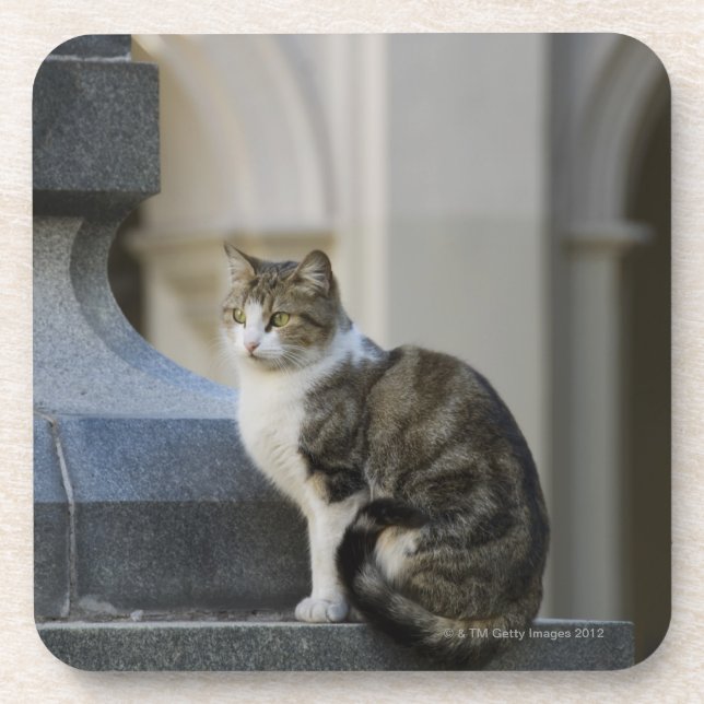 cordoba, argentina coaster (Front)