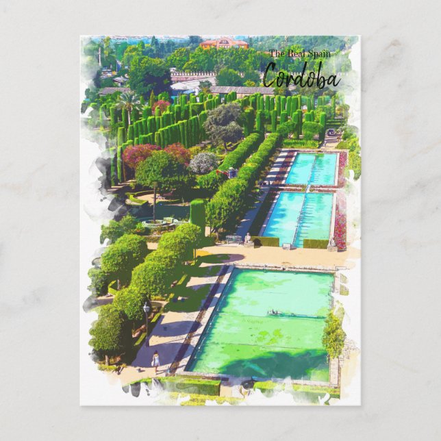 Cordoba Trees -Spain Postcard (Front)