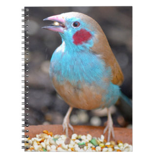 Cordon Bleu Finch Notebook