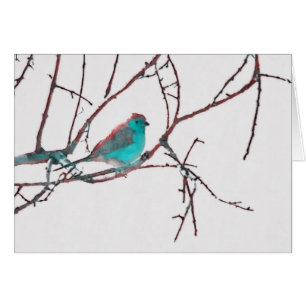 Cordon Bleu Waxbill
